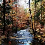 キャンプ場 Eco *